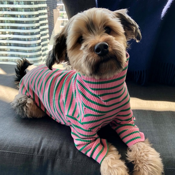 Meet your Posher, M - Picture 1 of 1